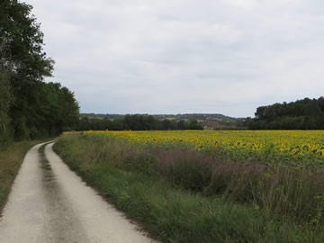 Château de Beauséjour - 66